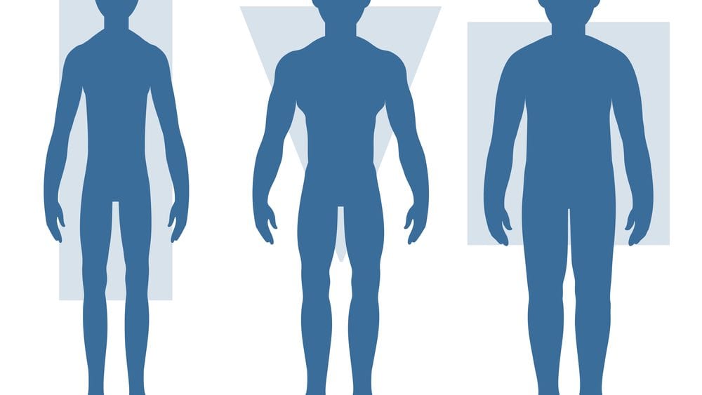 Figuring out your body type: Are you an Ectomorph, Mesomorph, or Endomorph?  - XFC GYM 24/7